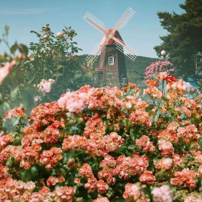 沪深300ETF东财（159330）跌1.00%，成交额1810.14万元